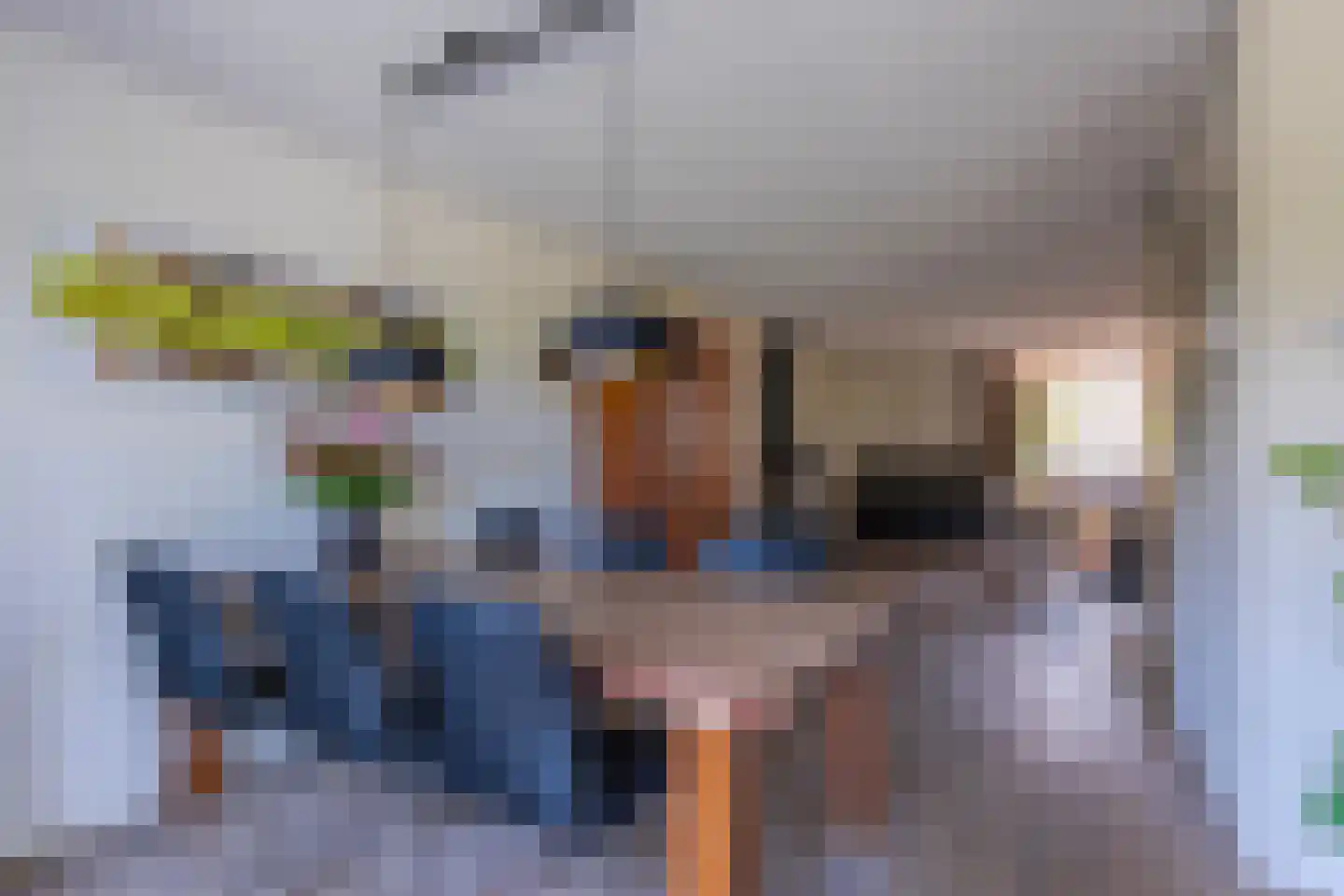 Jonagold 5 Elst thumbnail 9