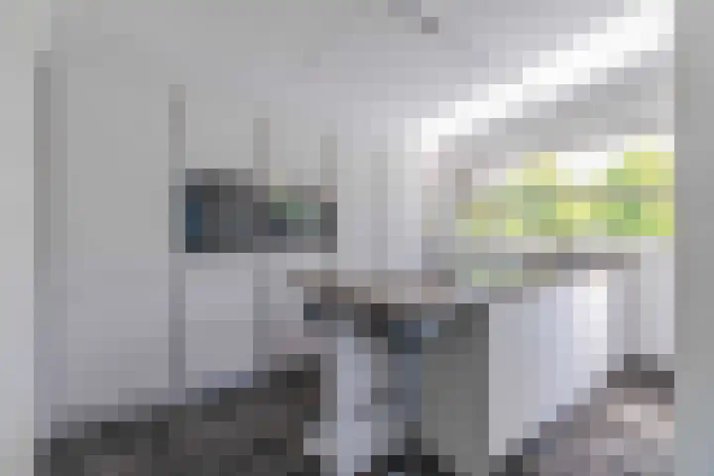 Jonagold 6 Elst thumbnail 12