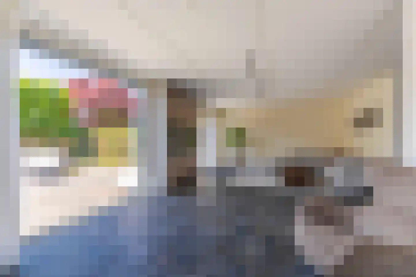 Jonagold 6 Elst thumbnail 23