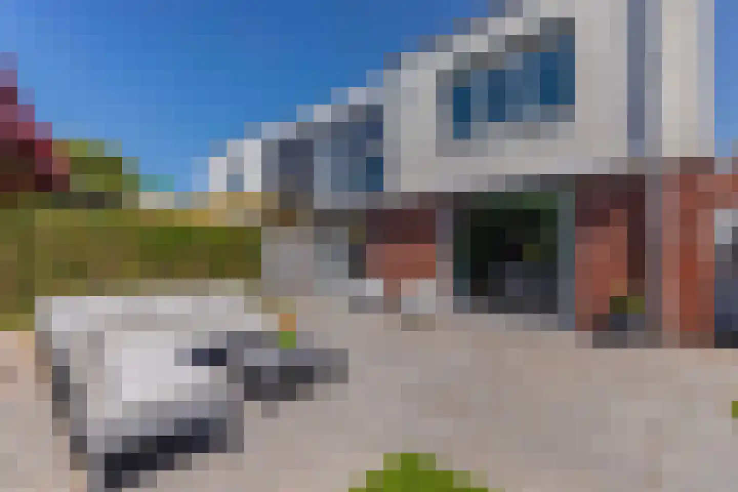 Jonagold 6 Elst thumbnail 24