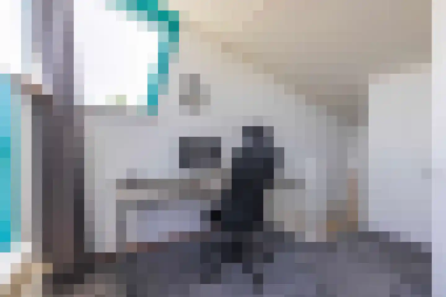 Jonagold 6 Elst thumbnail 39