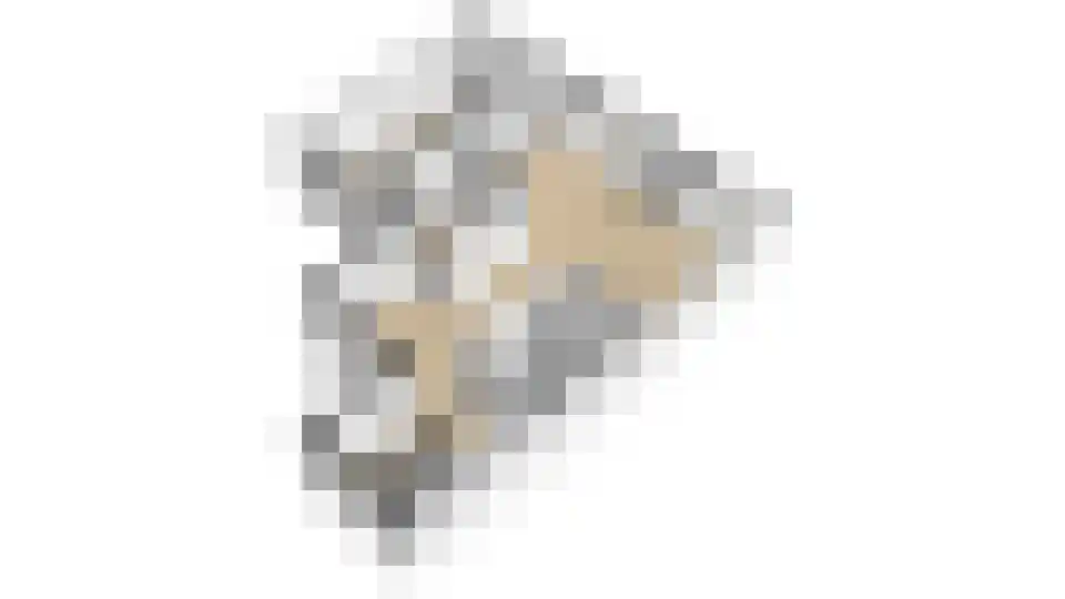Jonagold 6 Elst thumbnail 44