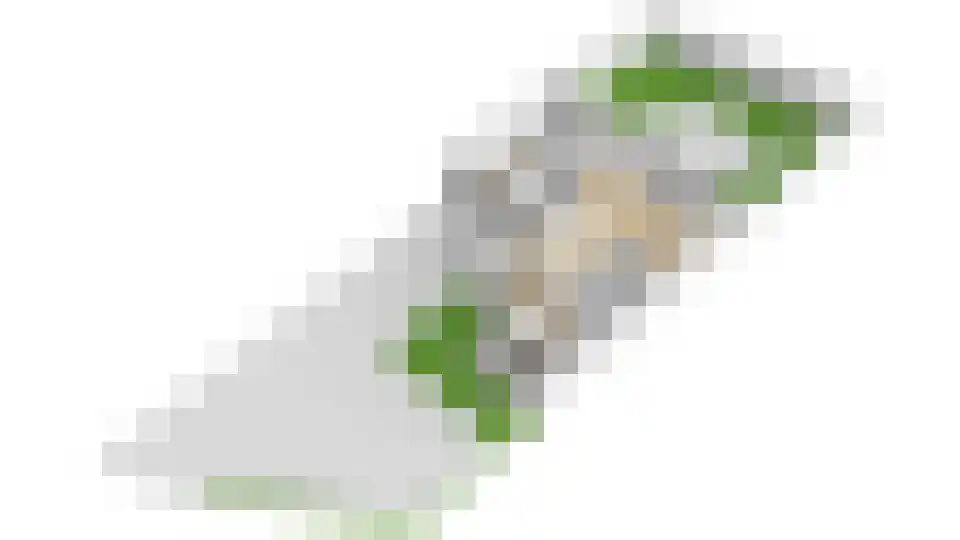 Jonagold 6 Elst thumbnail 52