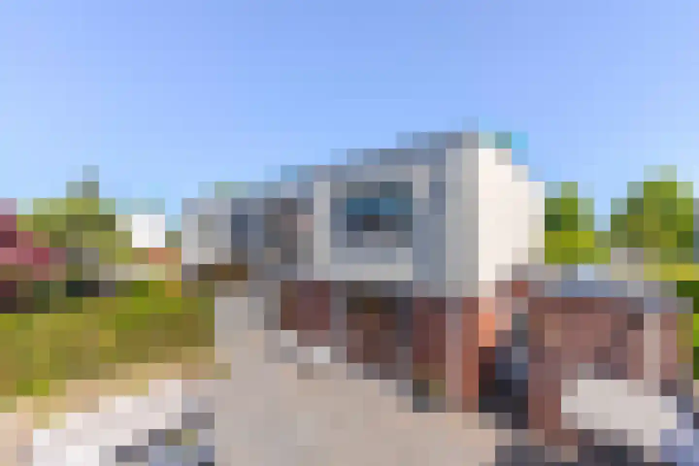 Jonagold 6 Elst thumbnail 6