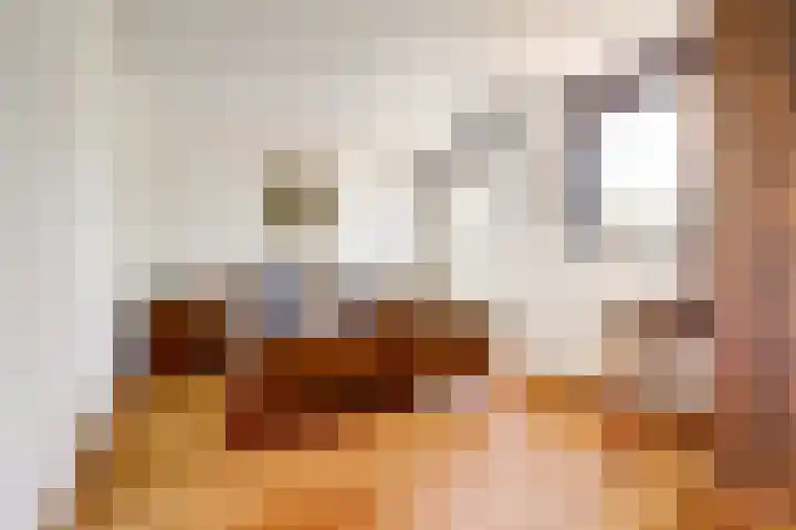 Jonagoldhof 16 Zoetermeer thumbnail 13