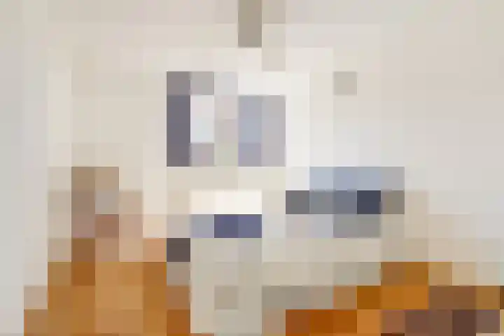 Jonagoldhof 16 Zoetermeer thumbnail 15