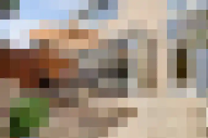 Jonagoldhof 16 Zoetermeer thumbnail 22