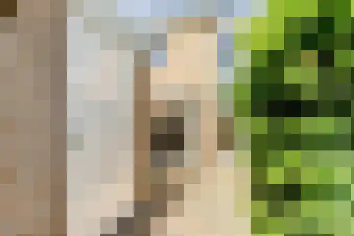 Jonagoldhof 16 Zoetermeer thumbnail 24