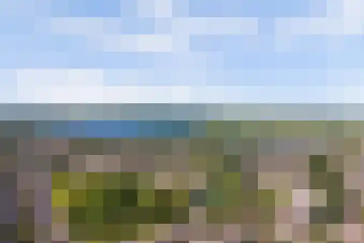 Jonagoldhof 16 Zoetermeer thumbnail 29