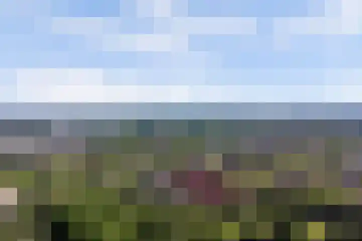 Jonagoldhof 16 Zoetermeer thumbnail 30