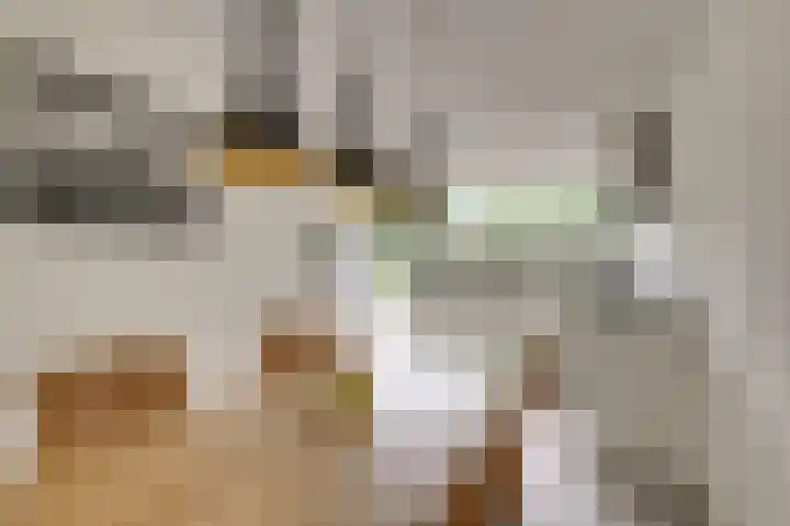 Jonagoldhof 21 Zoetermeer thumbnail 10