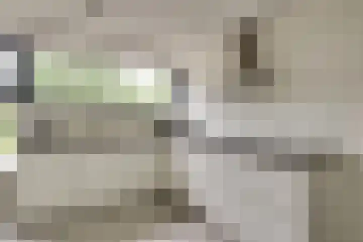 Jonagoldhof 21 Zoetermeer thumbnail 11