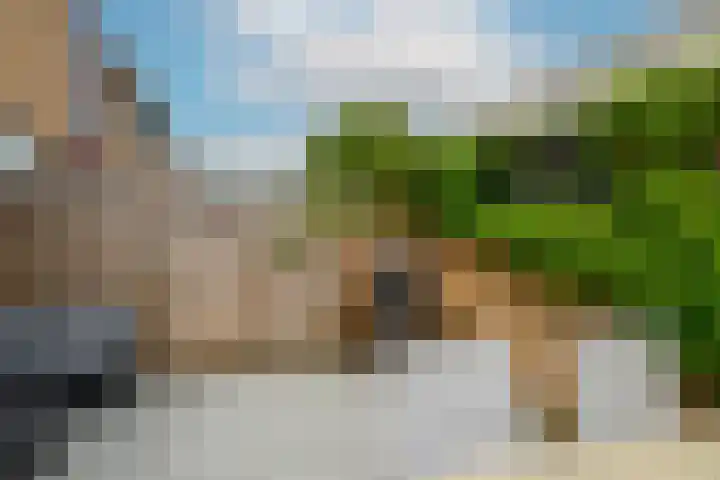 Jonagoldhof 21 Zoetermeer thumbnail 17