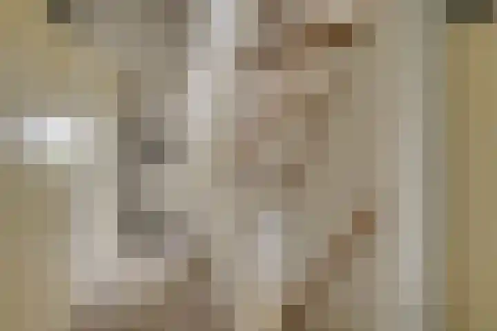 Jonagoldhof 21 Zoetermeer thumbnail 21