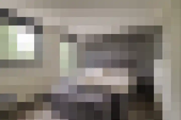 Jonagoldhof 21 Zoetermeer thumbnail 23