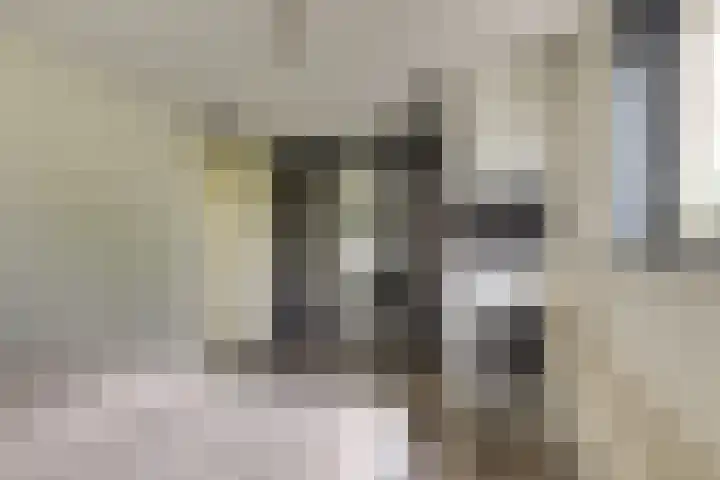 Jonagoldhof 21 Zoetermeer thumbnail 25