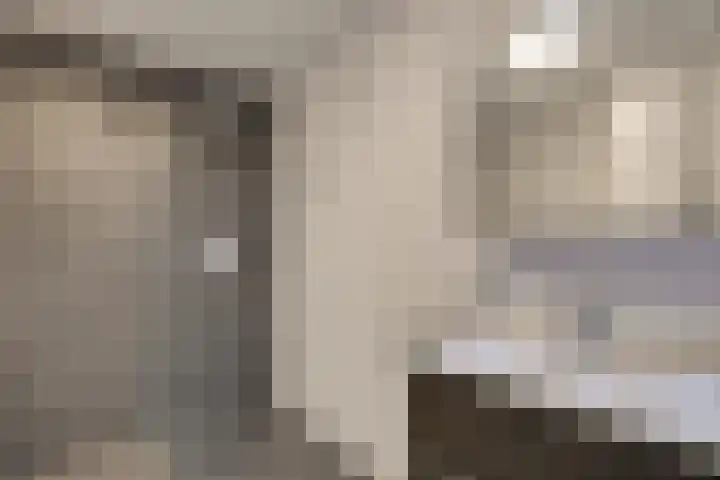 Jonagoldhof 21 Zoetermeer thumbnail 27