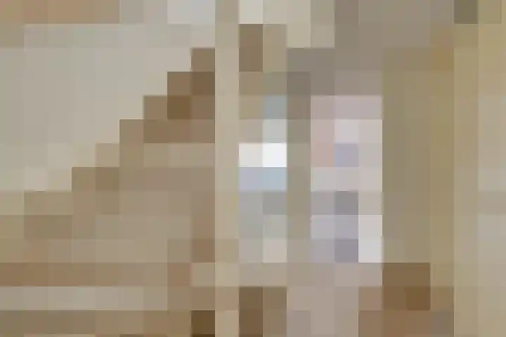 Jonagoldhof 21 Zoetermeer thumbnail 33