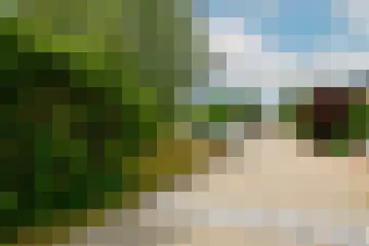 Jonagoldhof 21 Zoetermeer thumbnail 40