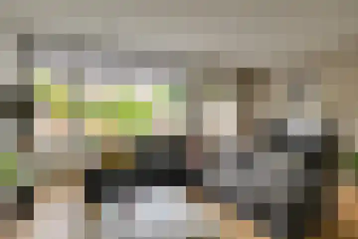 Jonagoldhof 21 Zoetermeer thumbnail 8