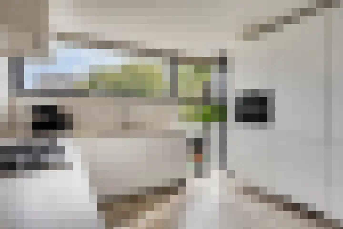 Jonagoldhof 28 Zoetermeer thumbnail 10