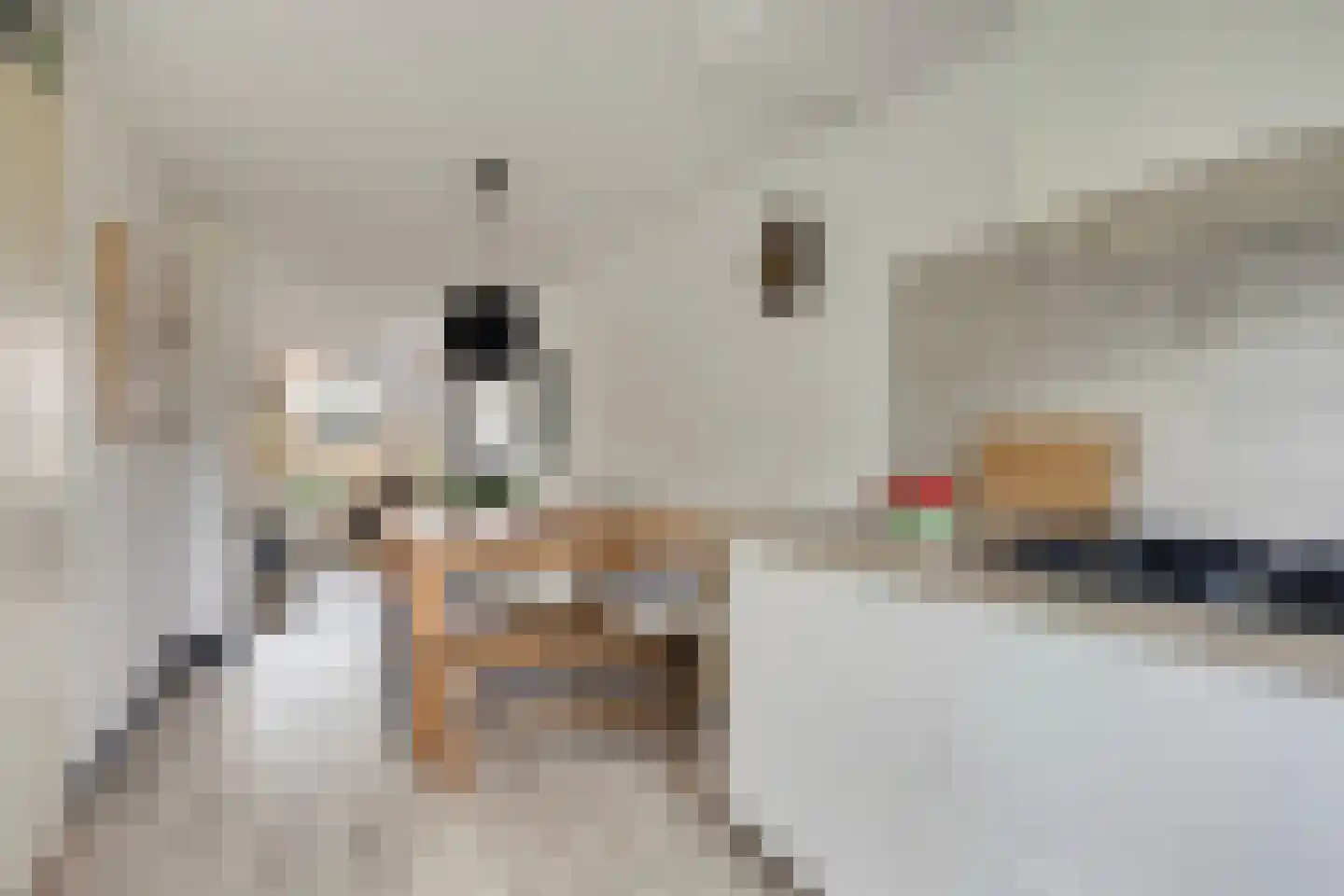 Jonagoldhof 28 Zoetermeer thumbnail 12