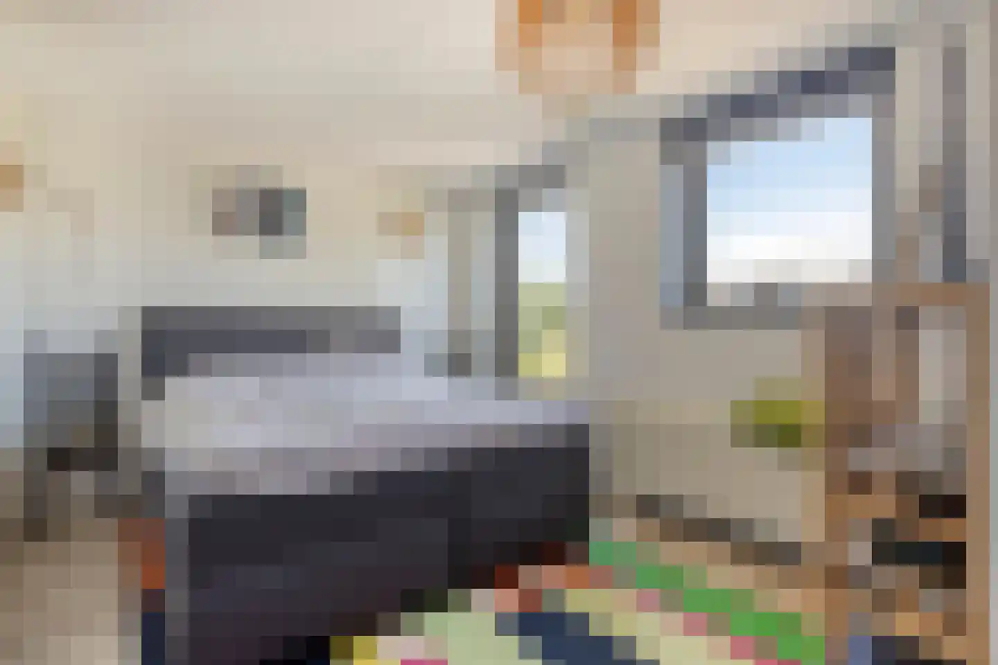Jonagoldhof 28 Zoetermeer thumbnail 14