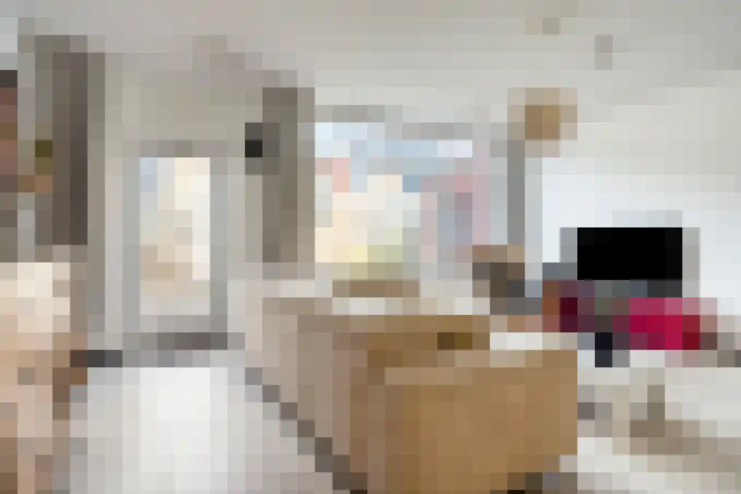 Jonagoldhof 28 Zoetermeer thumbnail 15