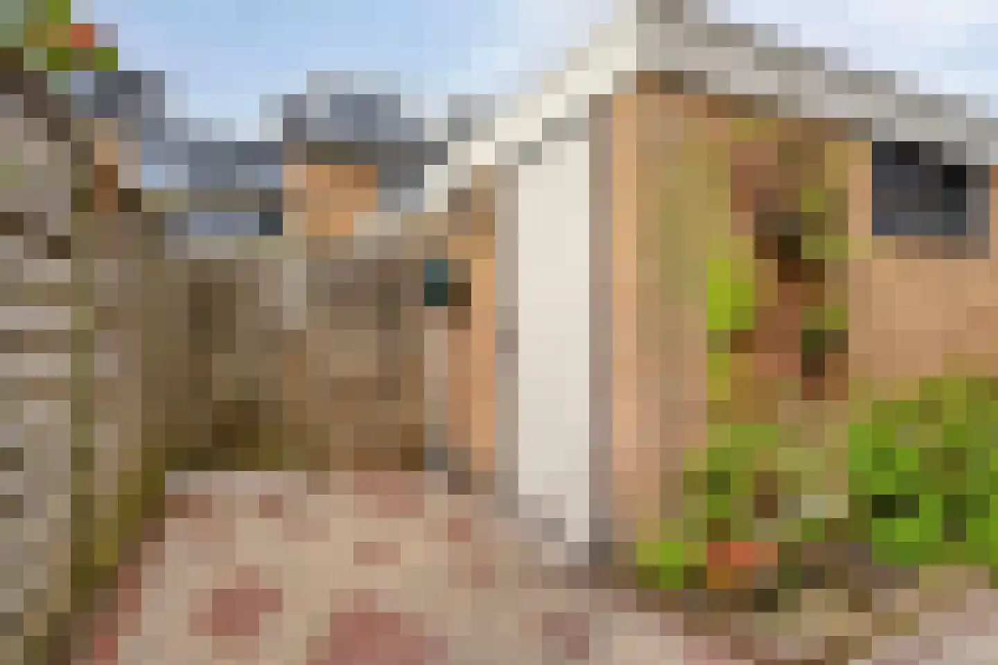 Jonagoldhof 28 Zoetermeer thumbnail 18