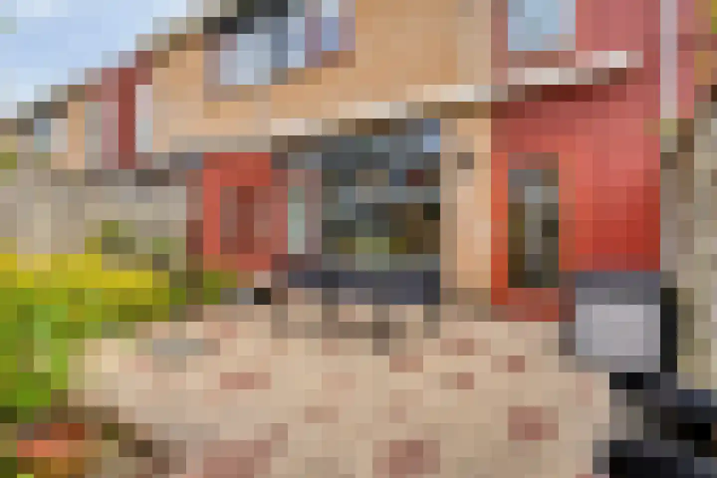 Jonagoldhof 28 Zoetermeer thumbnail 19