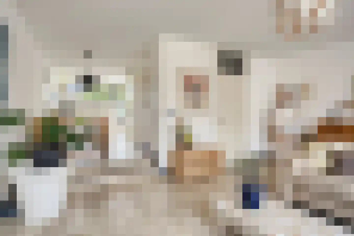 Jonagoldhof 28 Zoetermeer thumbnail 20