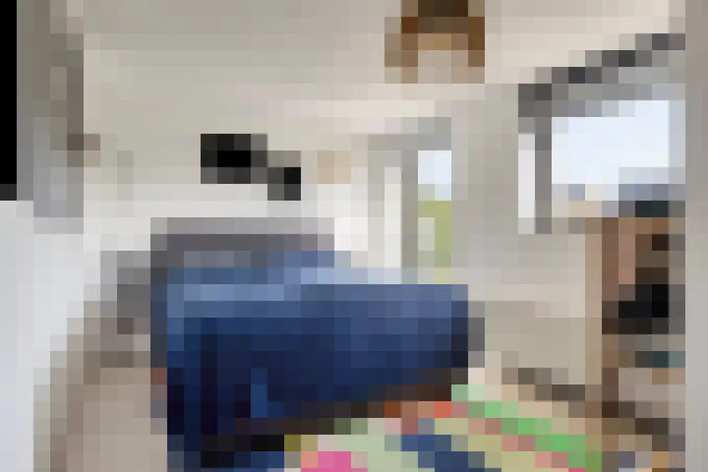 Jonagoldhof 28 Zoetermeer thumbnail 23