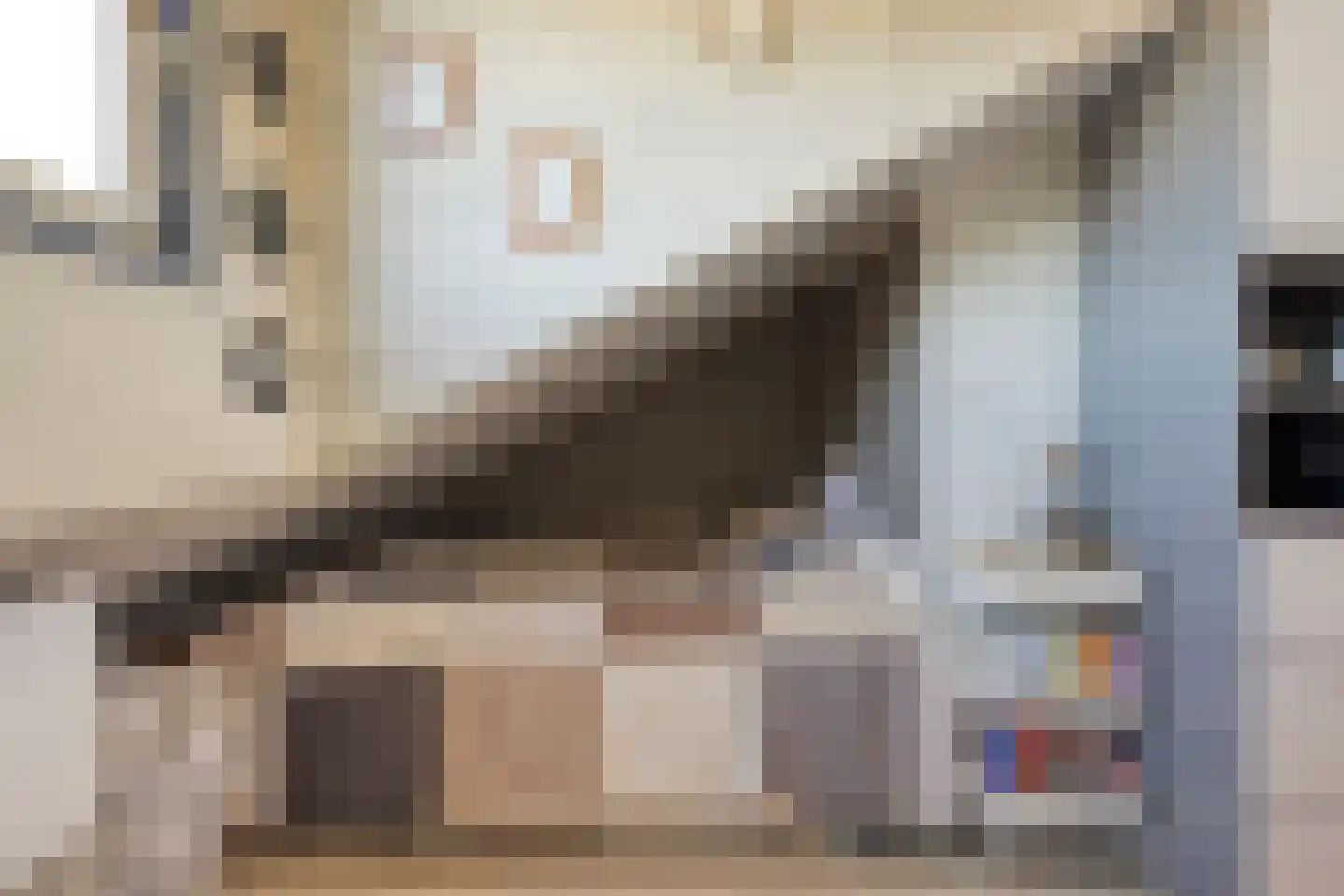 Jonagoldhof 28 Zoetermeer thumbnail 27