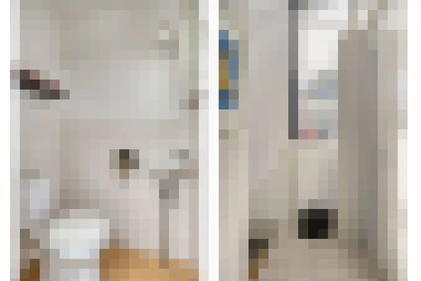 Jonagoldhof 28 Zoetermeer thumbnail 32