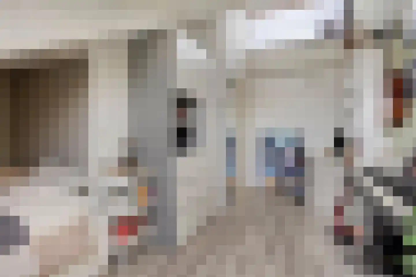 Jonagoldhof 28 Zoetermeer thumbnail 35