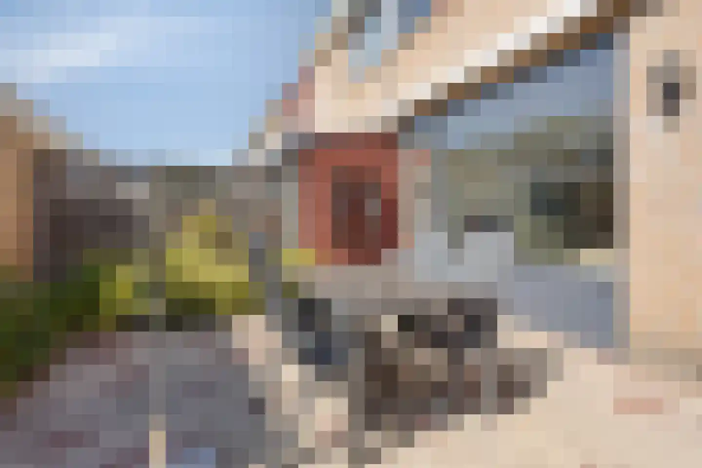Jonagoldhof 28 Zoetermeer thumbnail 5
