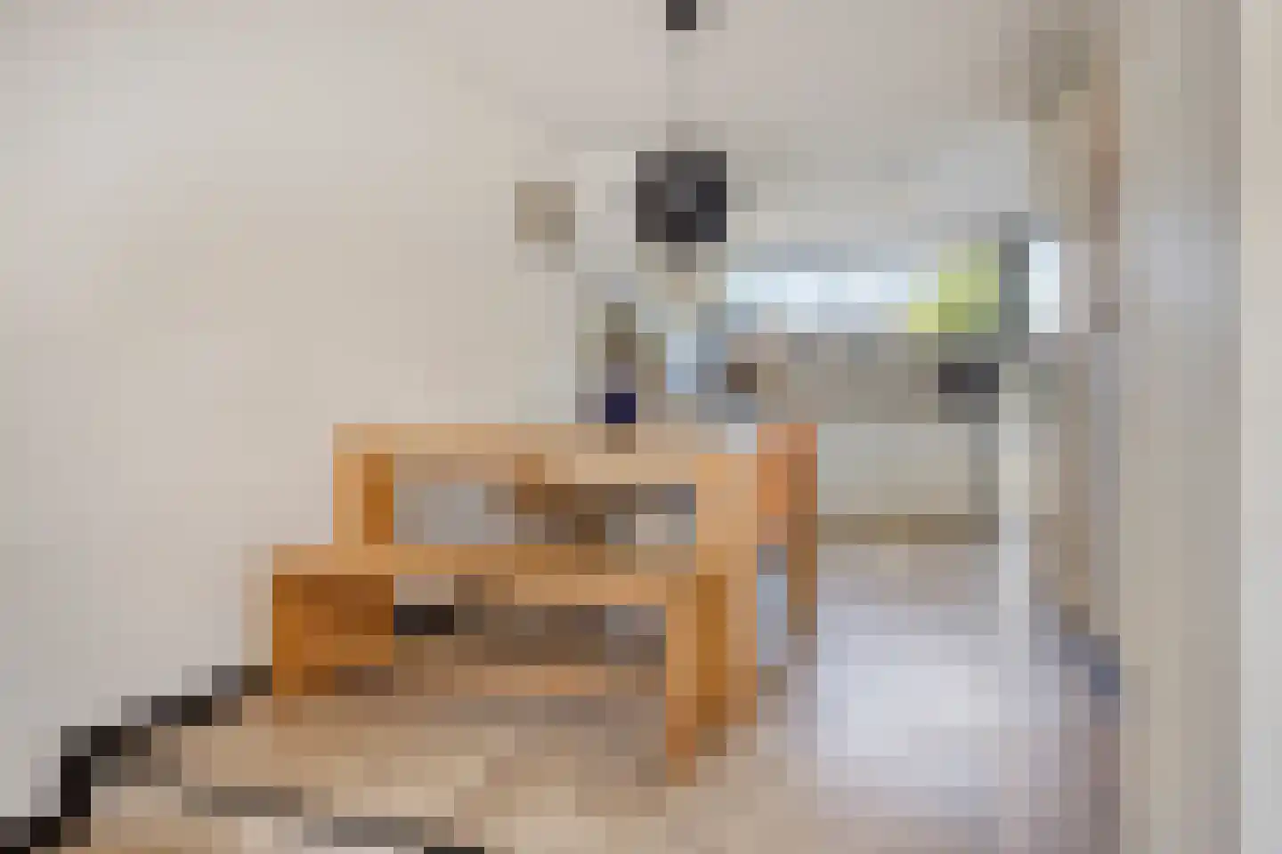 Jonagoldhof 28 Zoetermeer thumbnail 7