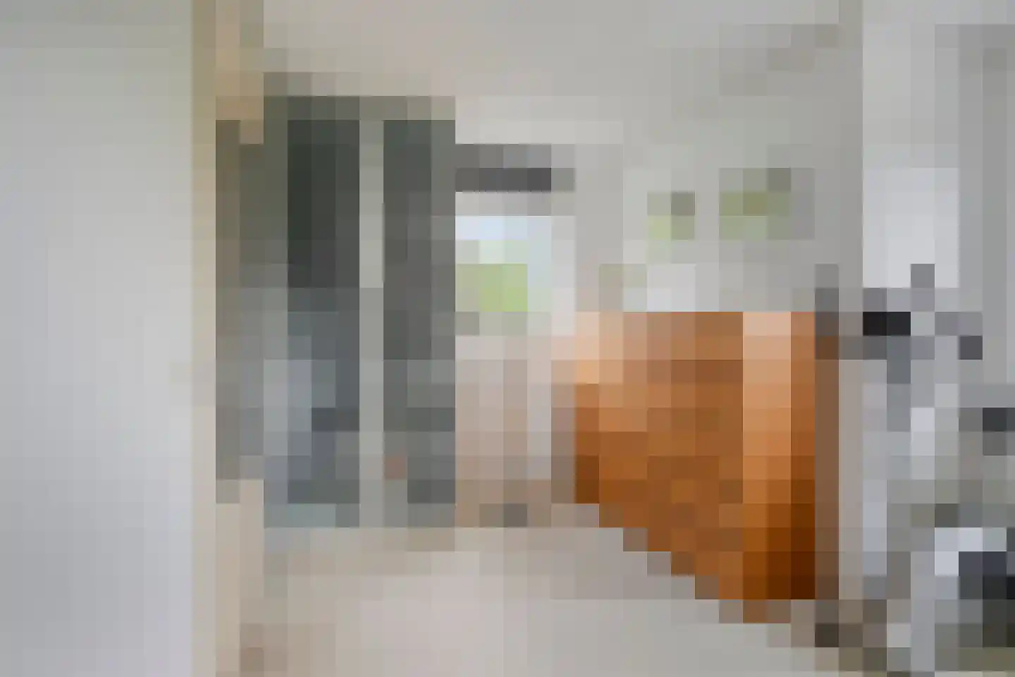 Jonagoldhof 38 Zoetermeer thumbnail 18