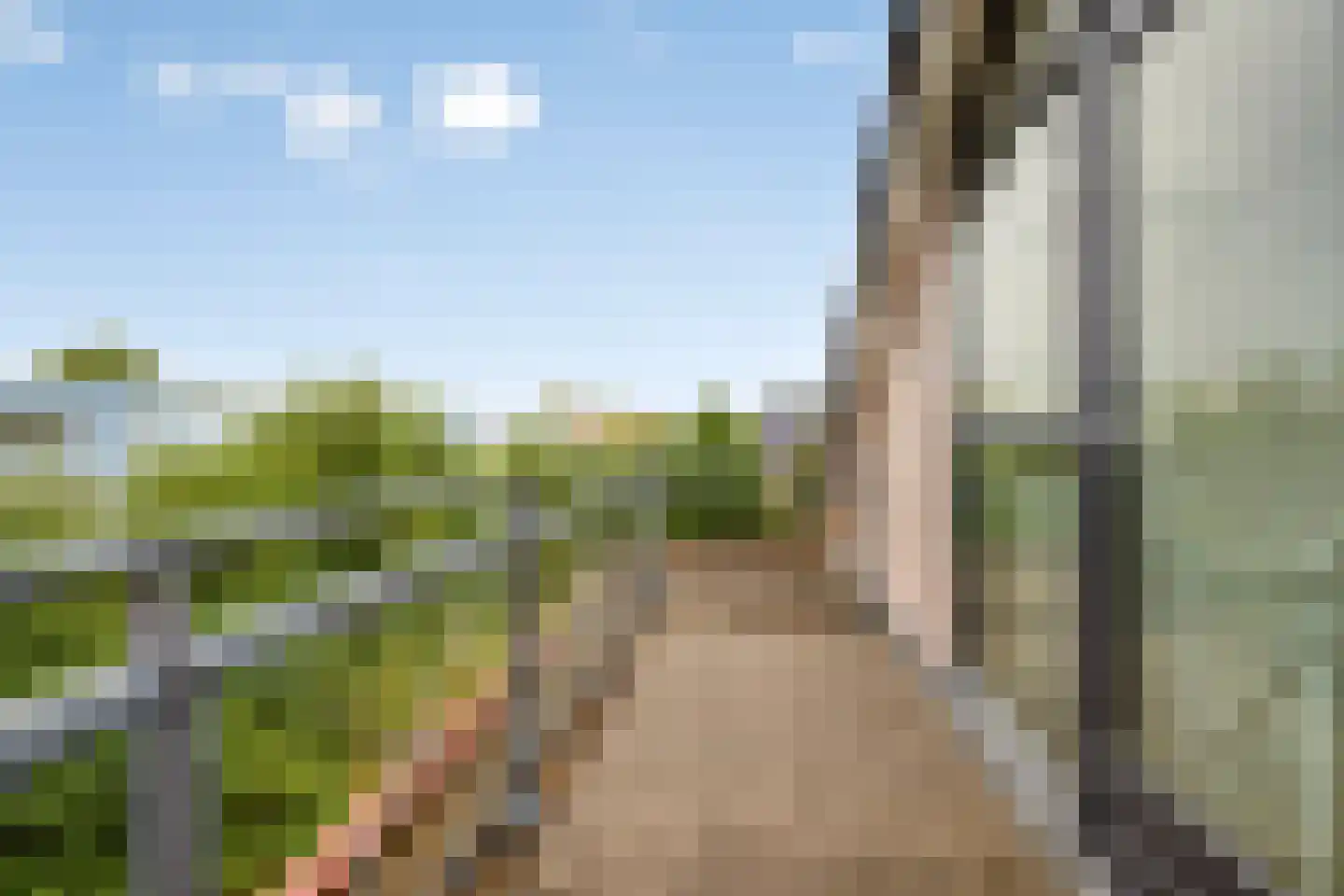 Jonagoldhof 38 Zoetermeer thumbnail 26