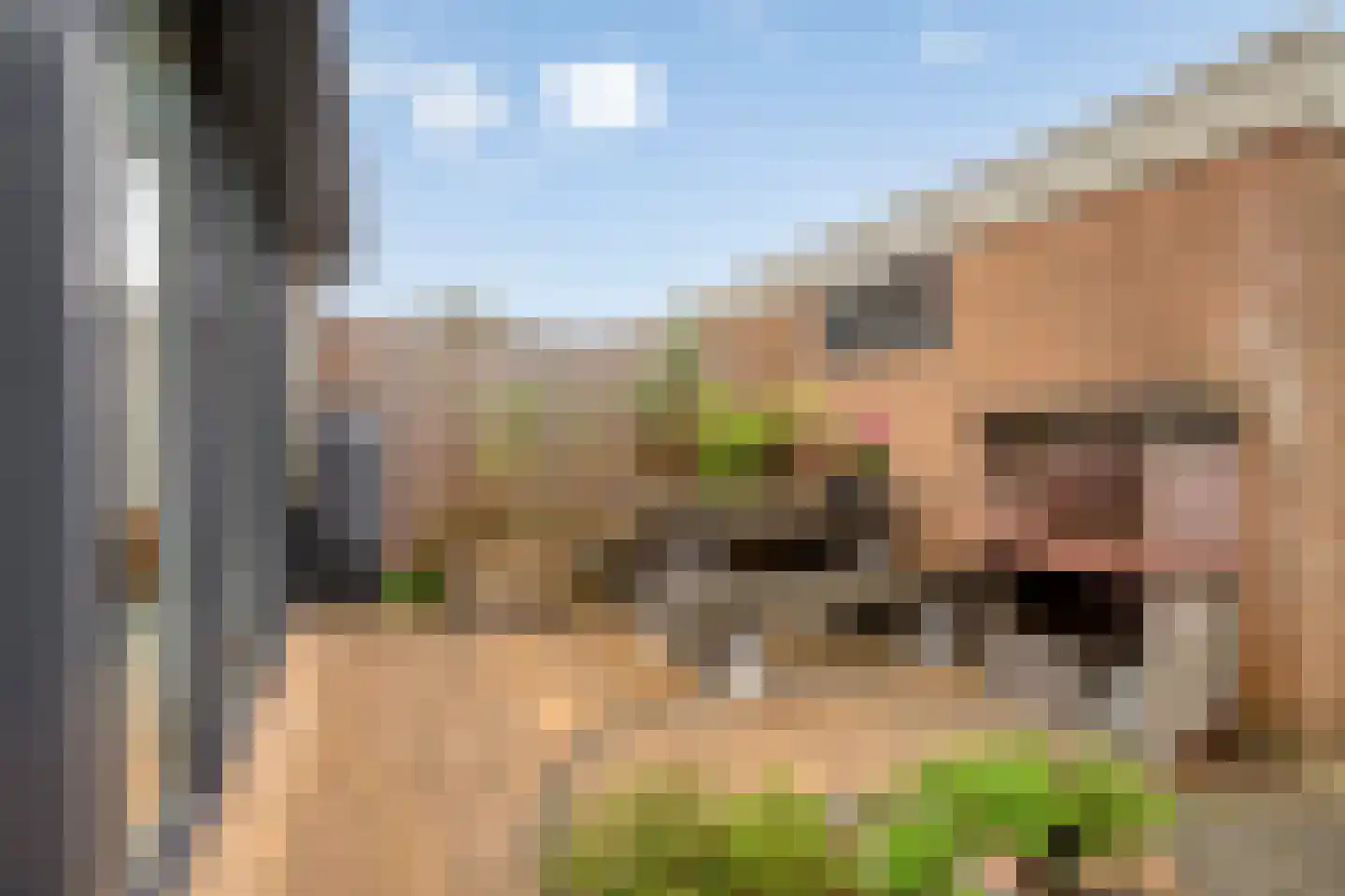 Jonagoldhof 38 Zoetermeer thumbnail 32