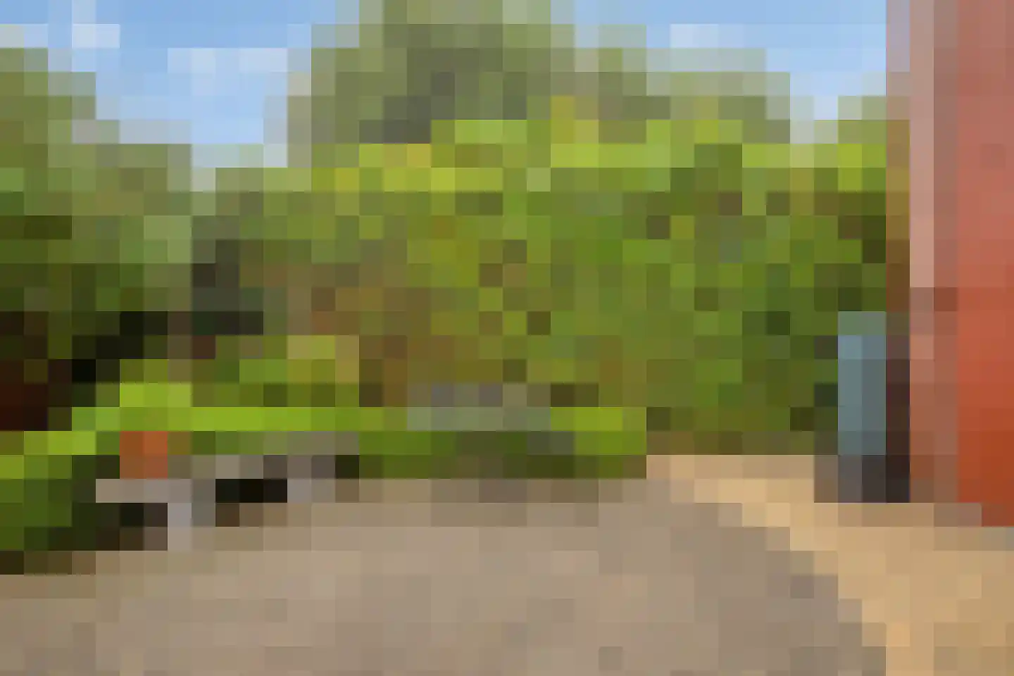 Jonagoldhof 38 Zoetermeer thumbnail 33