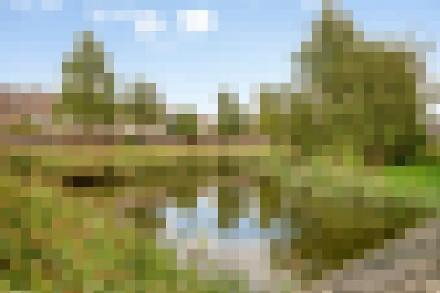 Jonagoldhof 38 Zoetermeer thumbnail 37