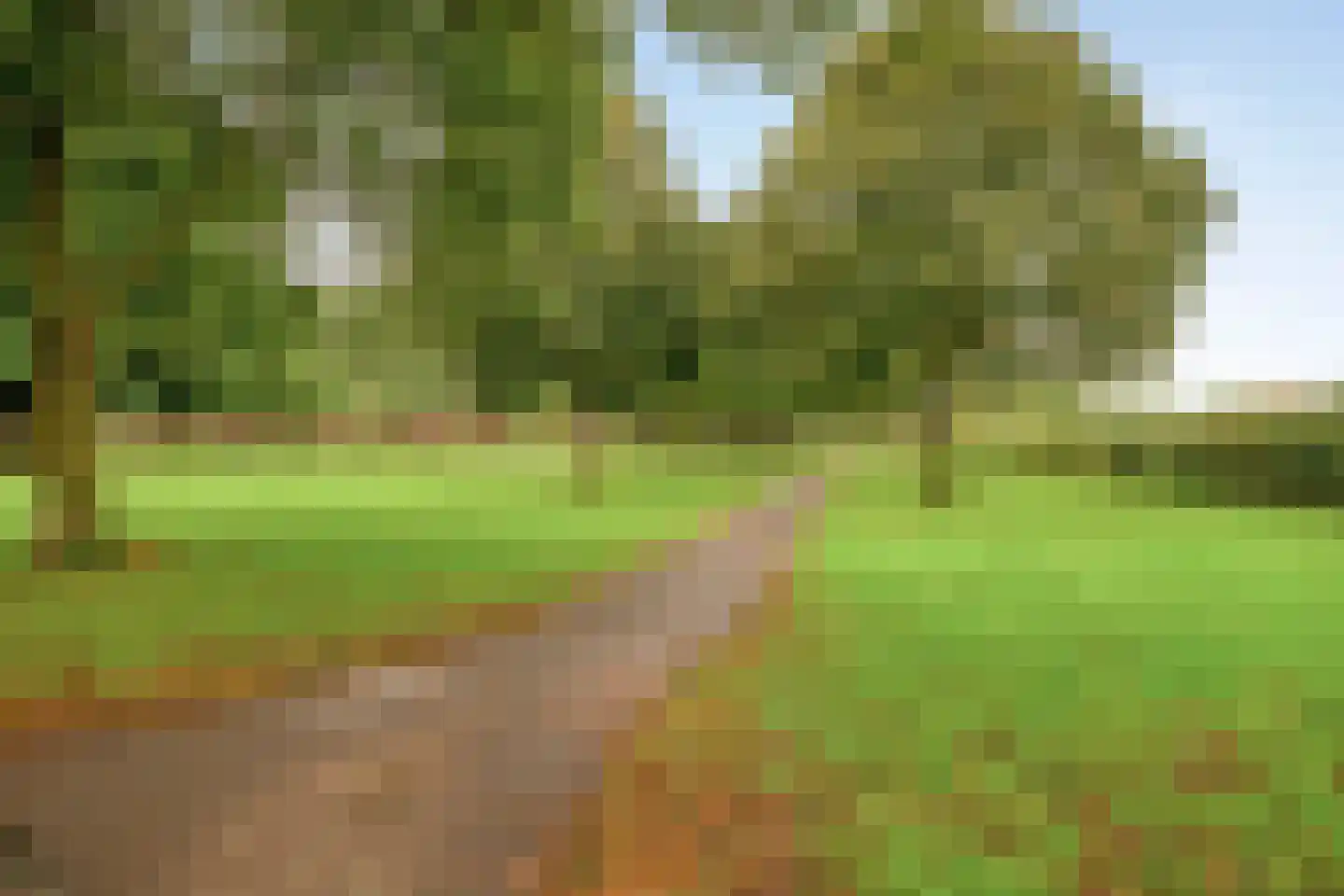 Jonagoldhof 38 Zoetermeer thumbnail 39
