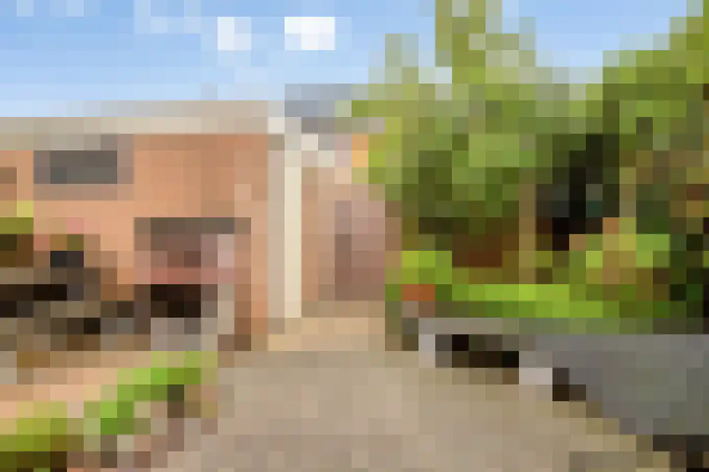 Jonagoldhof 38 Zoetermeer thumbnail 4
