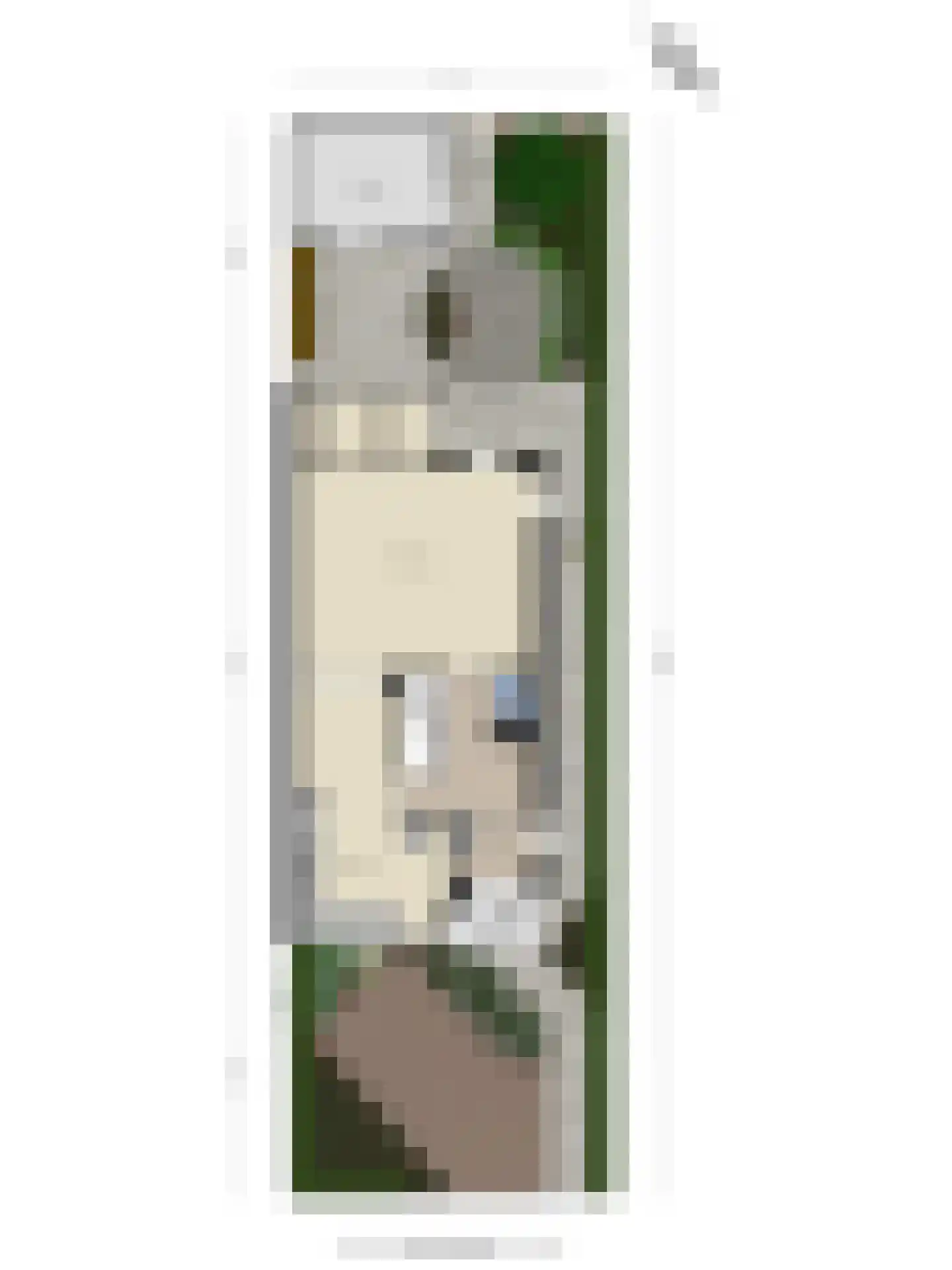 Jonagoldhof 38 Zoetermeer thumbnail 41
