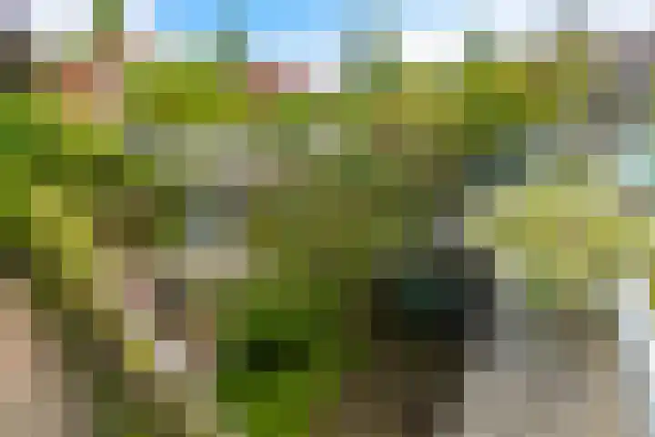 Jonagoldstraat 3 Nijmegen thumbnail 36