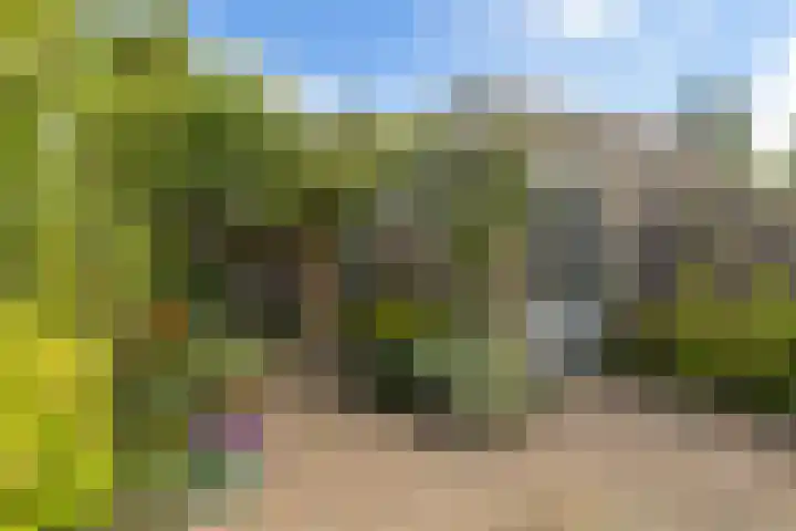 Jonagoldstraat 3 Nijmegen thumbnail 37