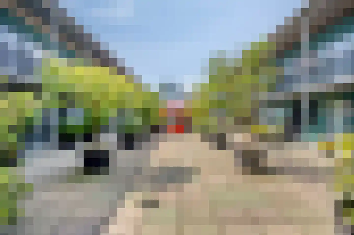 Jonagoldstraat 65 Nijmegen thumbnail 20