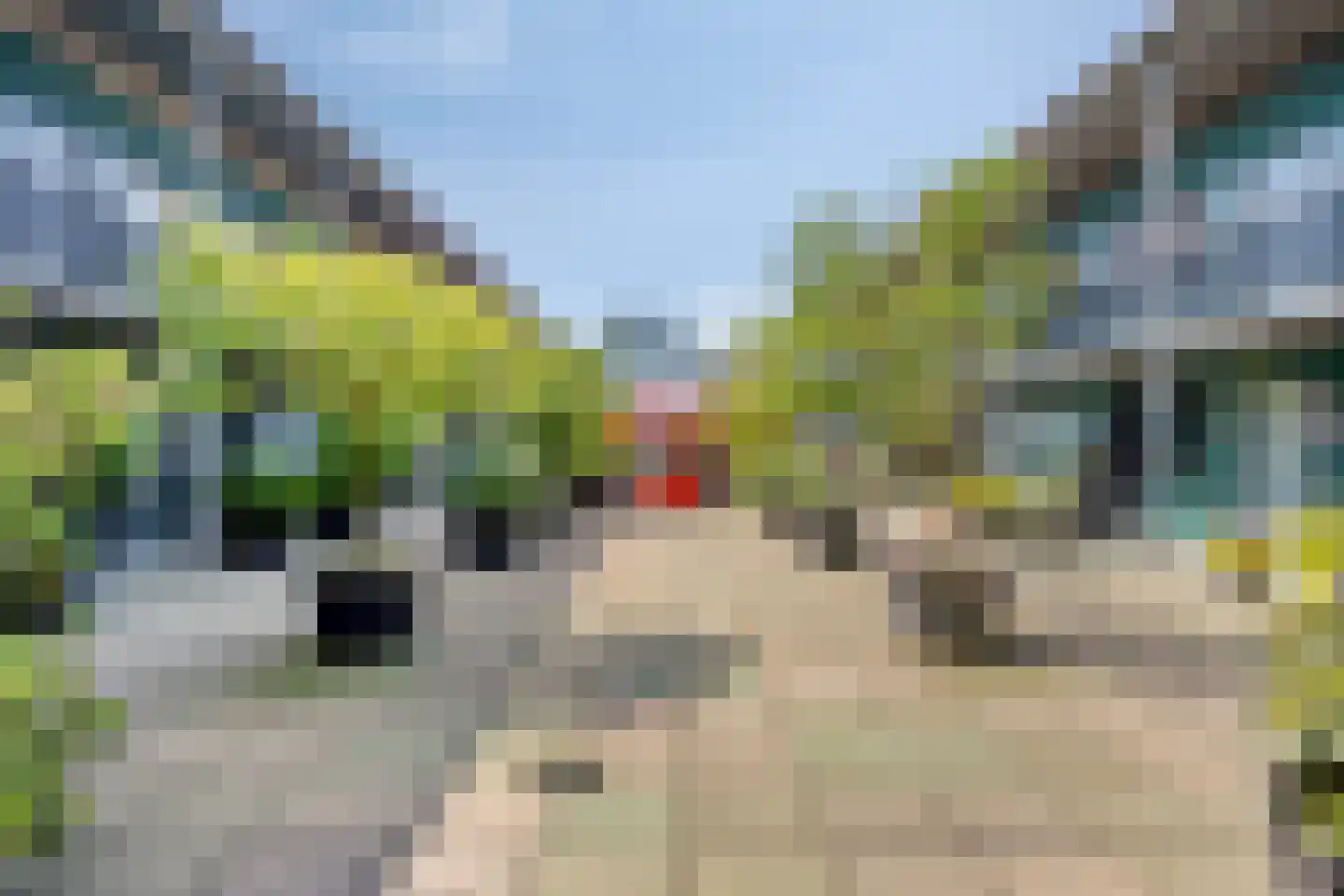 Jonagoldstraat 65 Nijmegen thumbnail 24