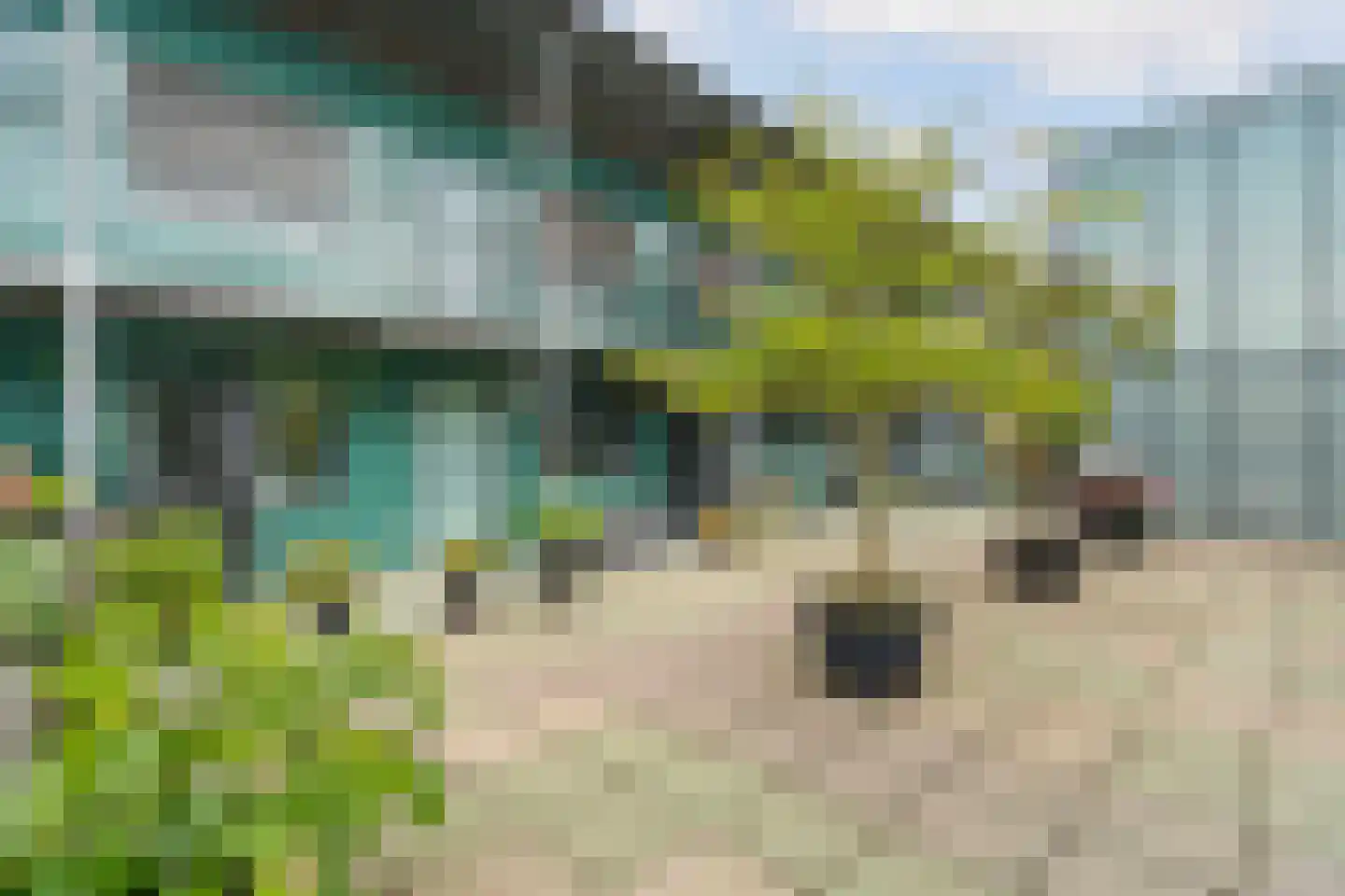 Jonagoldstraat 85 Nijmegen thumbnail 31